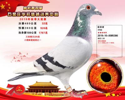 华祥公棚2019年决赛32名