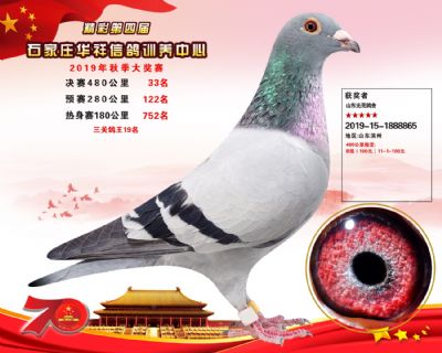 华祥公棚2019年决赛33名