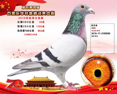 华祥公棚2019年决赛34名