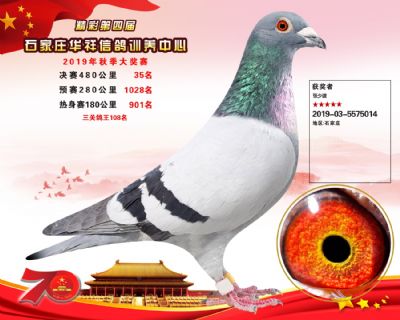 华祥公棚2019年决赛35名