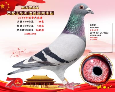 华祥公棚2019年决赛36名
