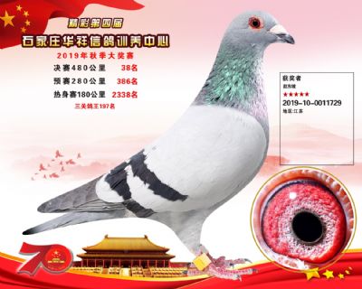 华祥公棚2019年决赛38名