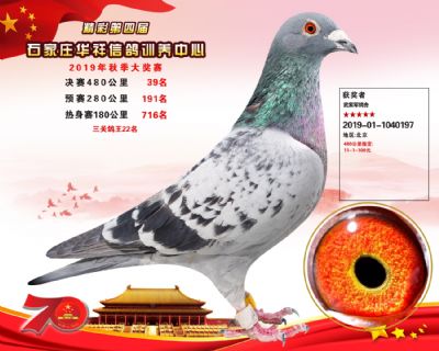 华祥公棚2019年决赛39名