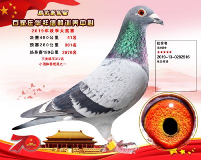 华祥公棚2019年决赛41名