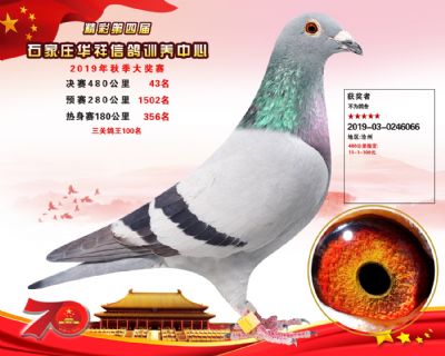 华祥公棚2019年决赛43名