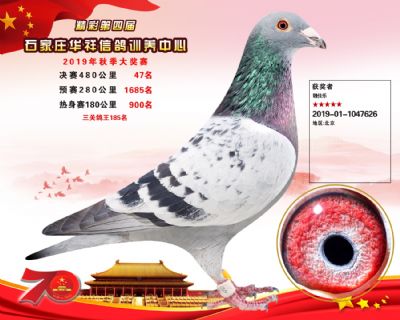 华祥公棚2019年决赛47名