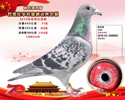 华祥公棚2019年决赛51名
