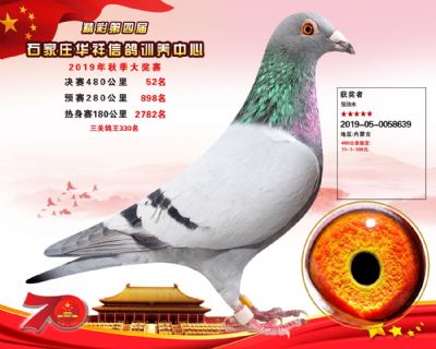 华祥公棚2019年决赛52名