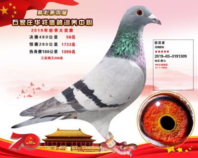 华祥公棚2019年决赛56名