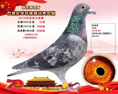 华祥公棚2019年决赛57名