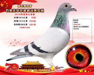 华祥公棚2019年决赛63名