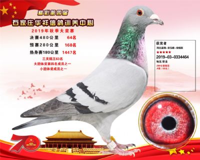 华祥公棚2019年决赛64名