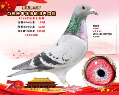 华祥公棚2019年决赛65名