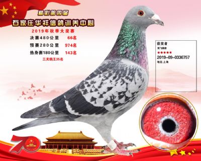 华祥公棚2019年决赛66名