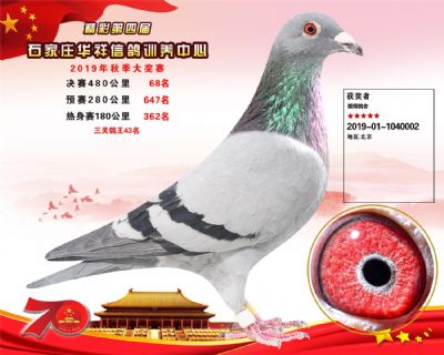 华祥公棚2019年决赛68名