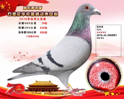 华祥公棚2019年决赛70名