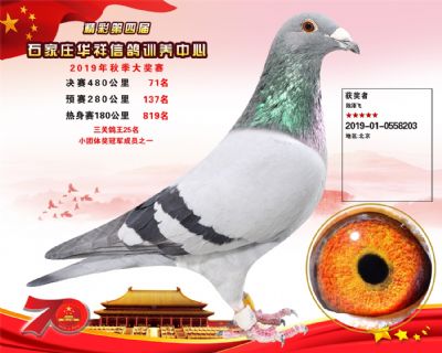 华祥公棚2019年决赛71名
