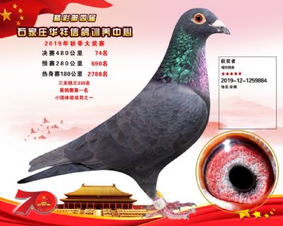 华祥公棚2019年决赛74名