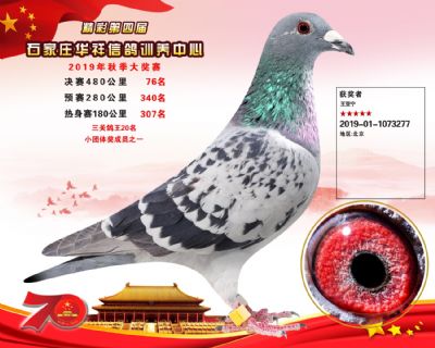 华祥公棚2019年决赛76名