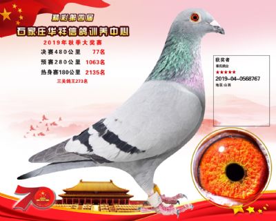华祥公棚2019年决赛77名