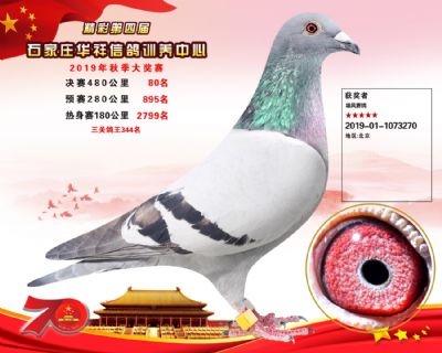 华祥公棚2019年决赛80名