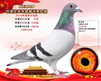 华祥公棚2019年决赛81名