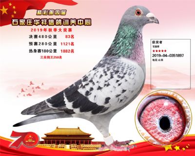 华祥公棚2019年决赛83名