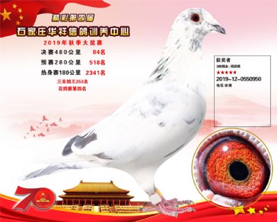 华祥公棚2019年决赛84名