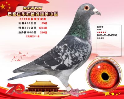 华祥公棚2019年决赛85名