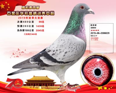 华祥公棚2019年决赛86名