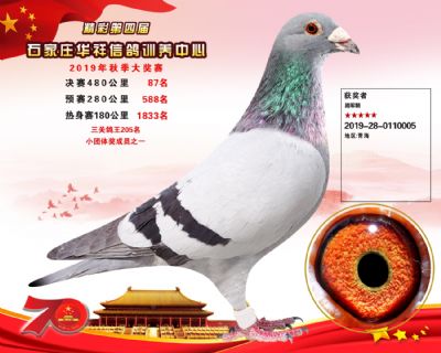 华祥公棚2019年决赛87名
