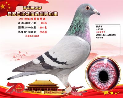 华祥公棚2019年决赛89名