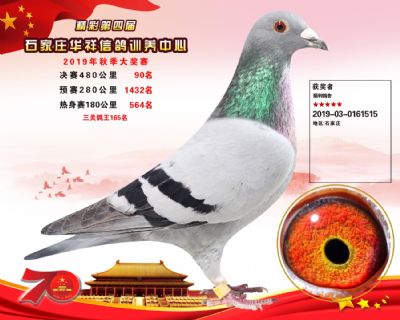 华祥公棚2019年决赛90名