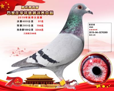 华祥公棚2019年决赛91名