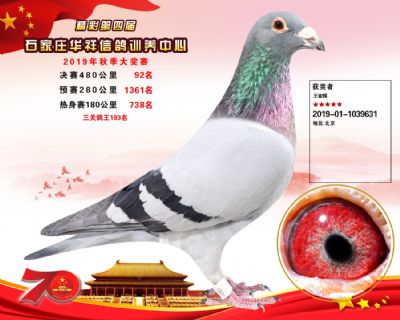 华祥公棚2019年决赛92名