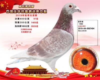 华祥公棚2019年决赛97名