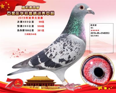 华祥公棚2019年决赛98名