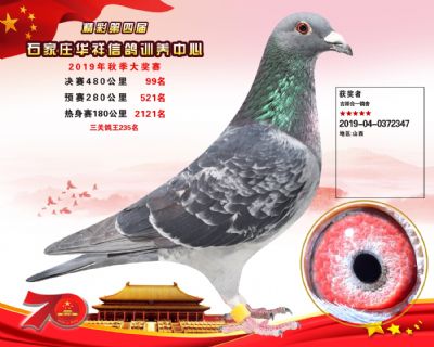 华祥公棚2019年决赛99名