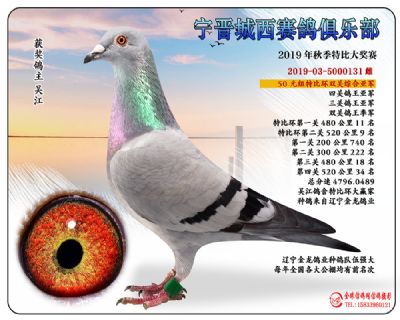 城西50元亚军