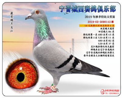 城西50元殿军