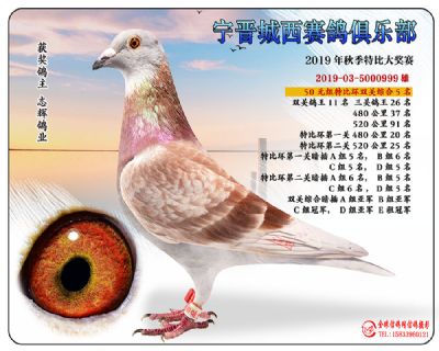 城西50元5