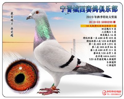 城西50元7