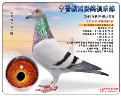 城西50元8