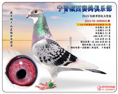 城西50元10
