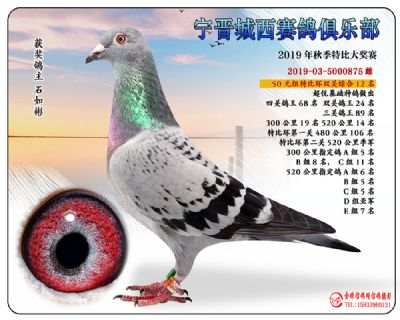 城西50元12