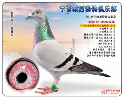 城西50元13