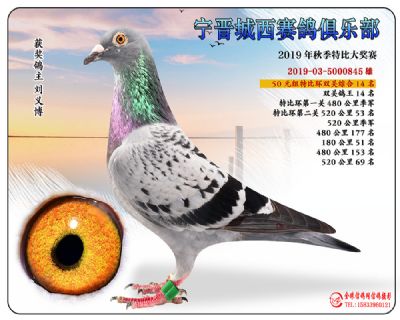城西50元14