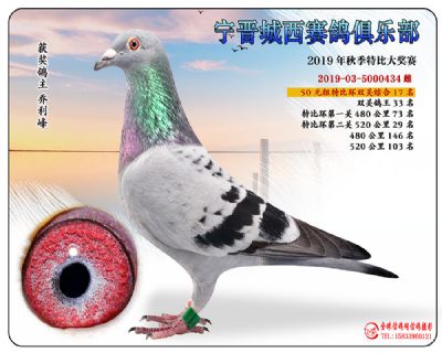 城西50元17