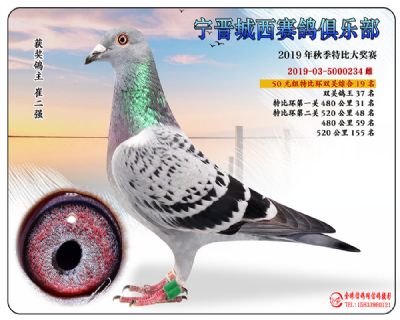 城西50元19