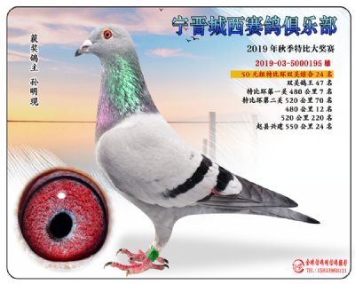 城西50元24